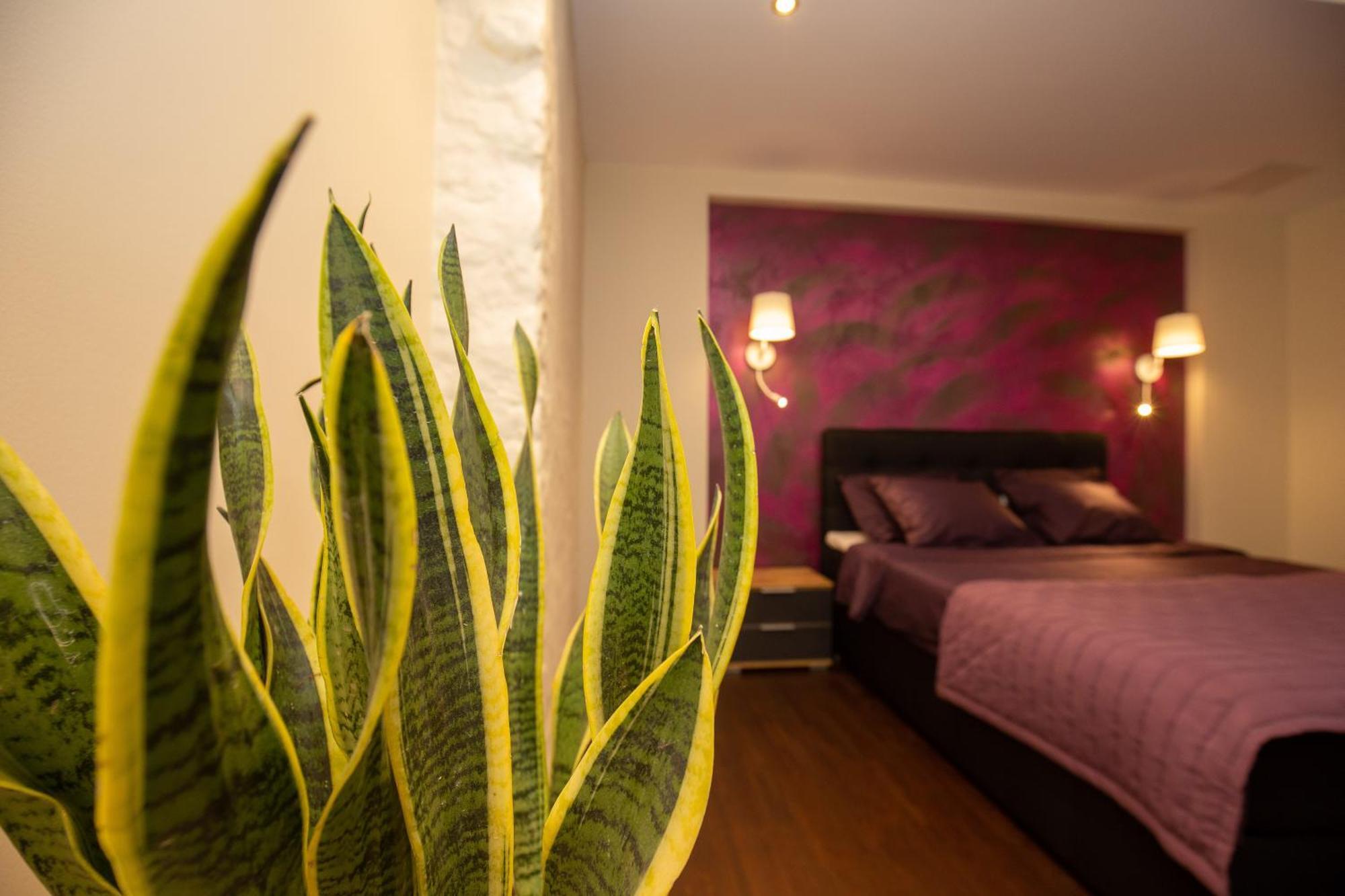 P54 Apartment Paide Buitenkant foto